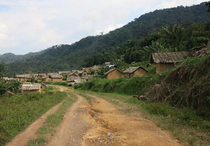 Situation sécuritaire à Mutongo : Le CNRJ-RDC appelle les autorités à écouter les doléances des enfants