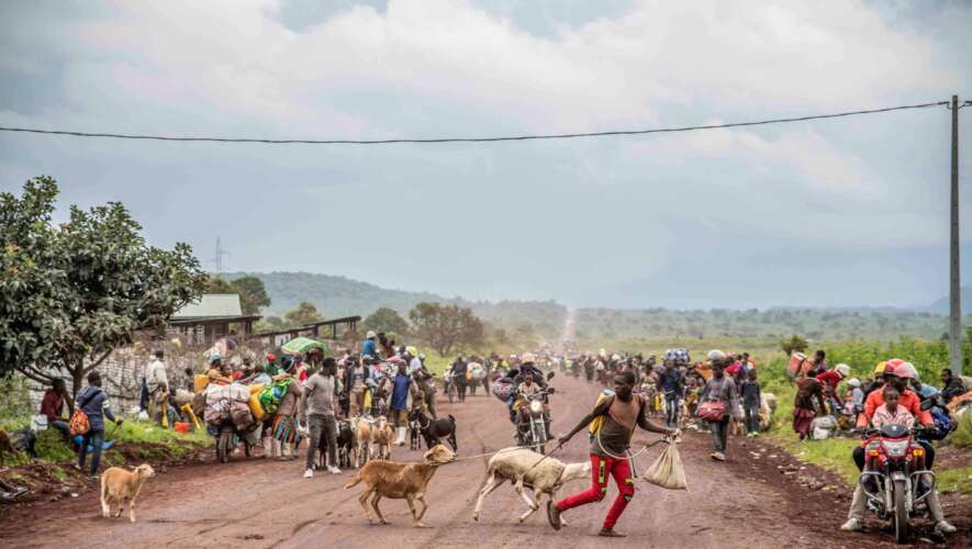 Nord-Kivu : l’ONG Congo Peace Network condamne la reprise des violences et attire l’attention du gouvernement et de la communauté internationale sur la situation humanitaire précaire des déplacés
